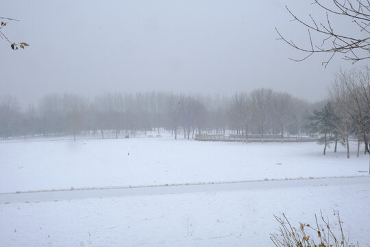 北京奥森雪景