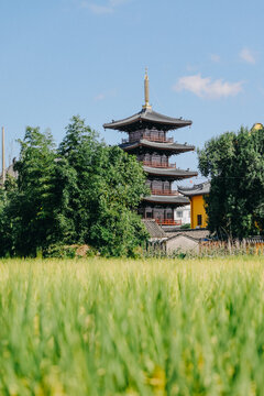 宁海广德寺