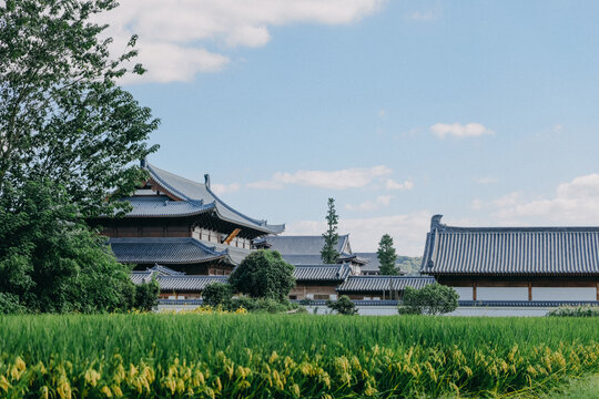 宁海广德寺