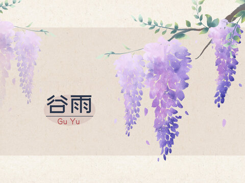 国风手绘二十四节气谷雨紫藤花