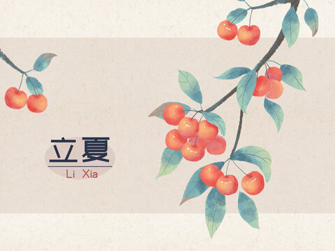 國風(fēng)手繪二十四節(jié)氣立夏櫻桃