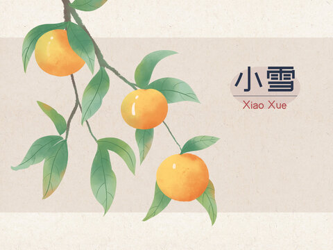 國風(fēng)手繪二十四節(jié)氣小雪橘子
