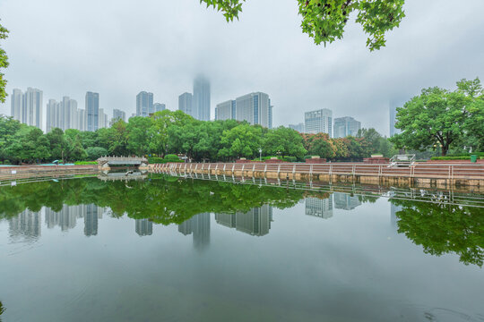 现代建筑与树林