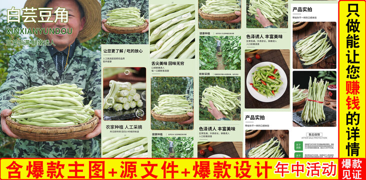 白蕓豆角詳情