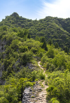 高山丘壑