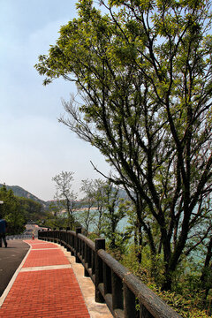 连云港苏马湾环岛路