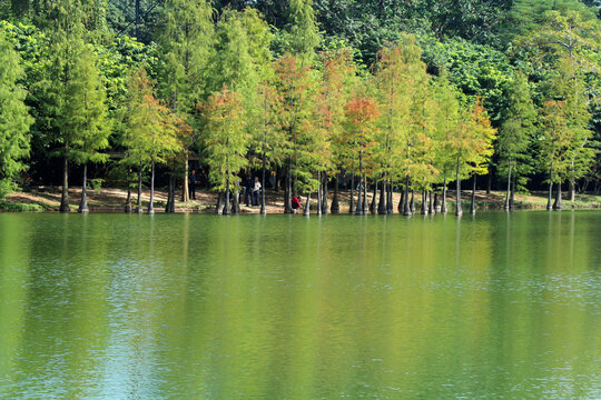 湖泊美景