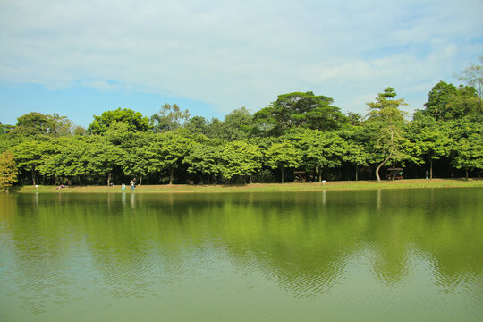 湖畔美景