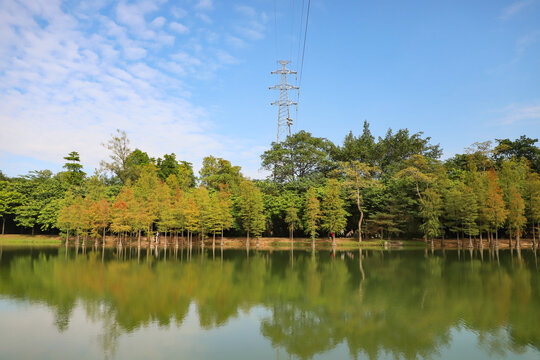 湖边风景