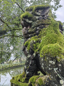 沧桑石狮