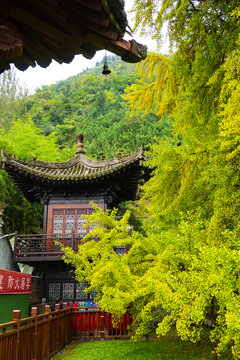 观音禅寺