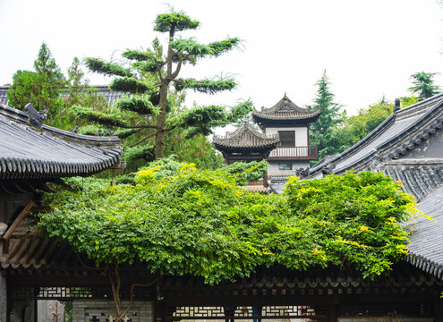 观音禅寺