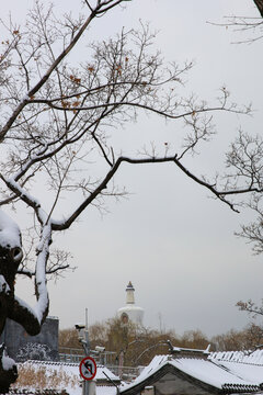 北京北海公园白塔雪景