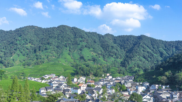 茶山田园自然风景