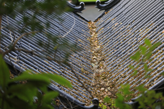 武当山秋色系列之太子坡