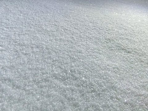 雪地