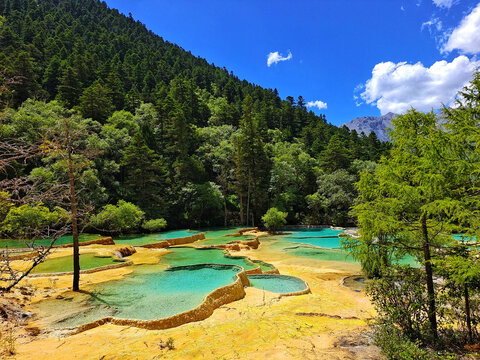 山中钙化池