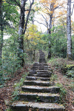 山间石阶道