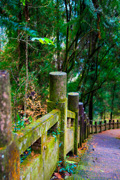 齐云山霞客古道