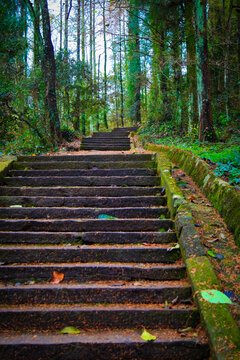 齐云山霞客古道