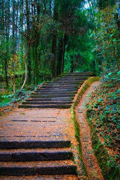 齐云山霞客古道