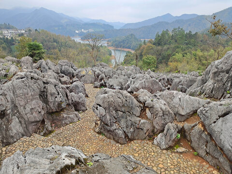 黄山洞天湾景区石林