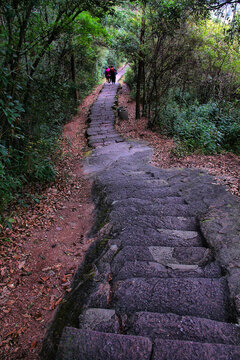 武夷山登山石板路