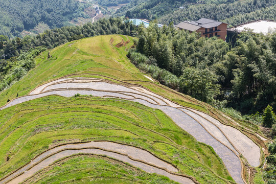 高山梯田