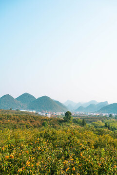 山水田园水墨山水风光