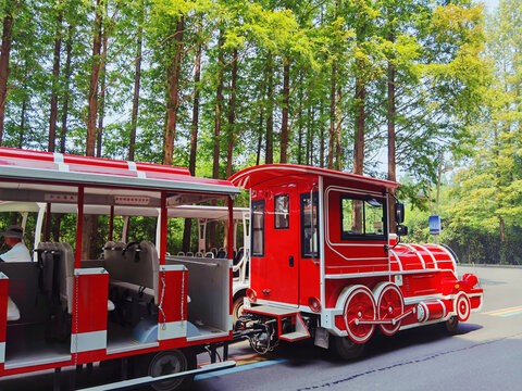 森林中的小火车