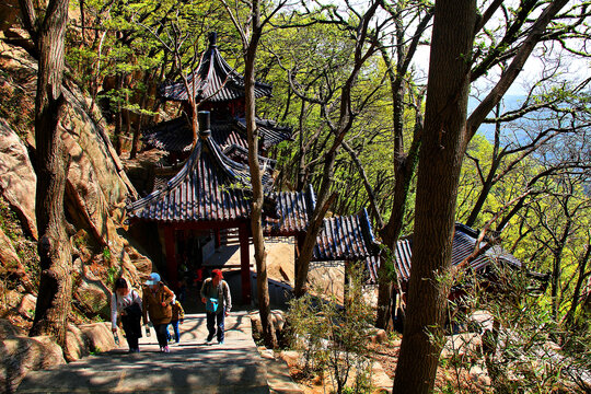 花果山登山路