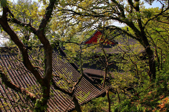 花果山寺院屋檐