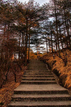 黄山登山路黄山风光