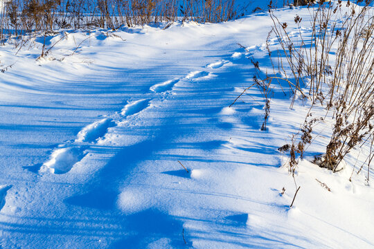 东北冬季冰雪阳光草地