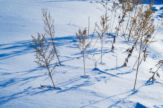 东北冬季冰雪阳光草地