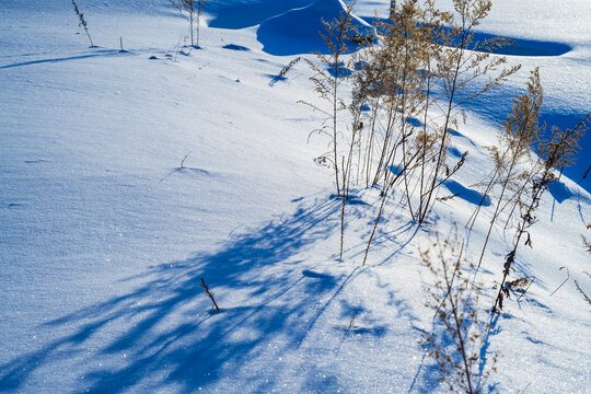 东北冬季冰雪阳光草地