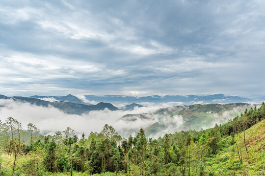 云南元阳梯田的风景