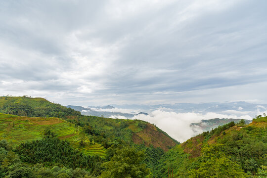 云南元阳梯田的风景