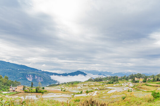 云南元阳梯田的风景