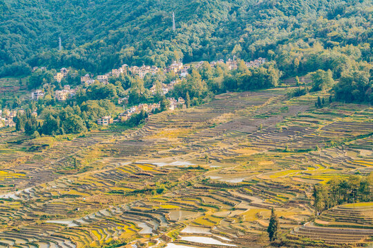 云南元阳梯田的风景