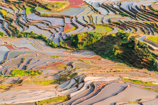 云南元阳梯田的风景