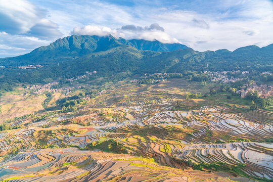 云南元阳梯田的风景