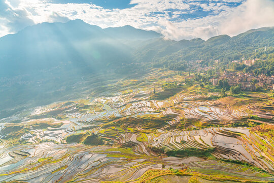 云南元阳梯田的风景