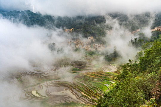 云南元阳梯田的风景