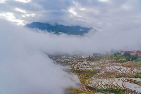 云南元阳梯田的风景