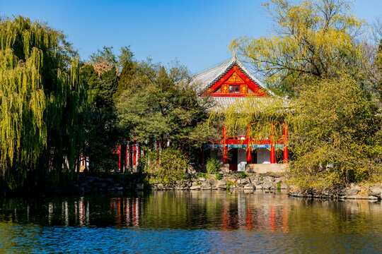 北京大学风光