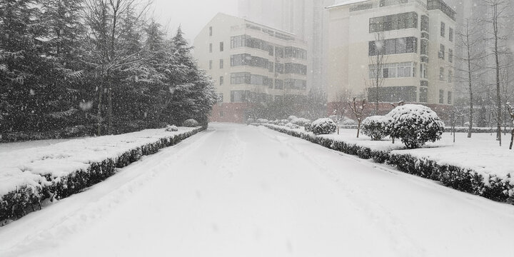 雪中城市