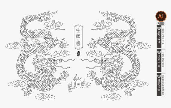 手绘龙插画