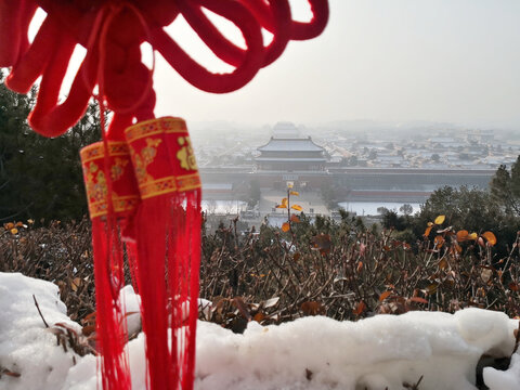 雪景