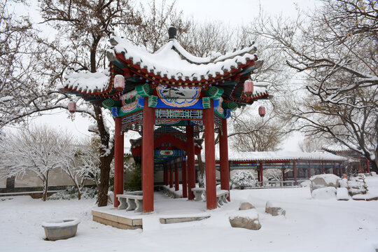 园林雪景